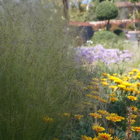 Les Jardins De Santa Giulia - Charmante chambre d'hôte-3